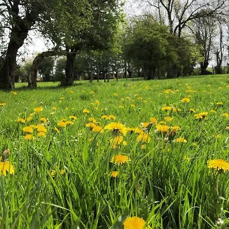 Au Gre Des Saisons Maison d'hôtes Hericourt (Pas-de-Calais)