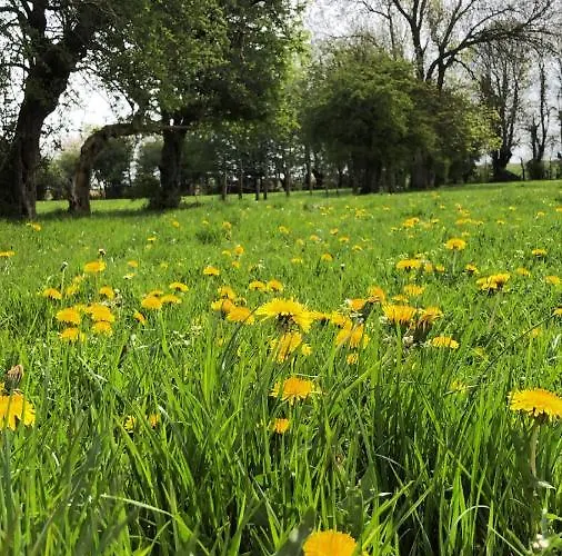 Au Gré Des Saisons Maison d'hôtes Hericourt (Pas-de-Calais)