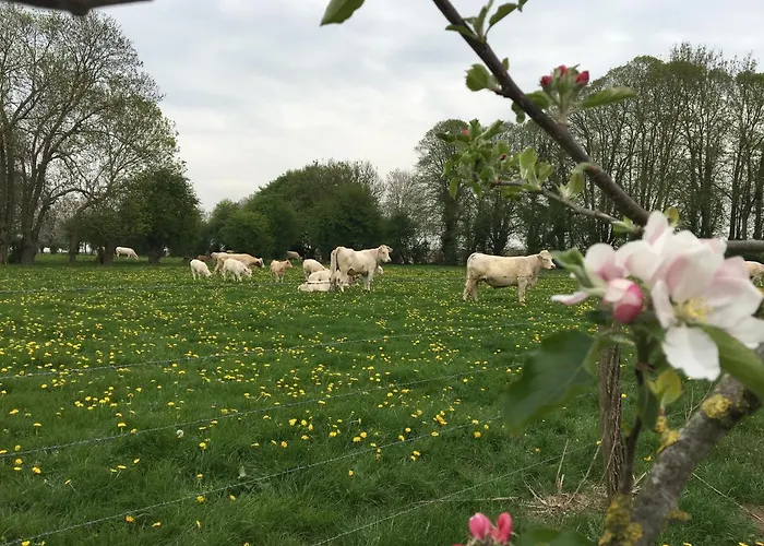 Au Gré Des Saisons Maison d'hôtes